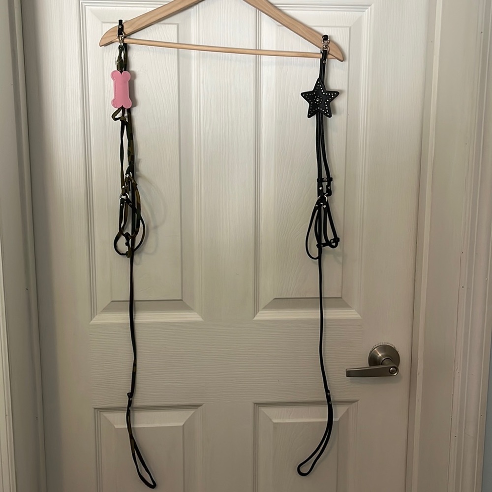 Set of 2 Leash/Harness Sets